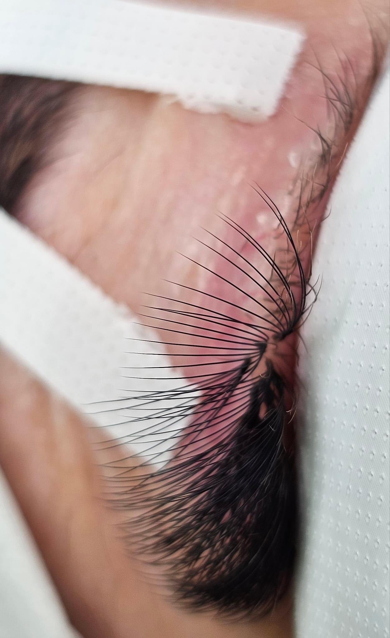 Handmade 6D Lashes | Thickness 0.07 | 1000 Fans