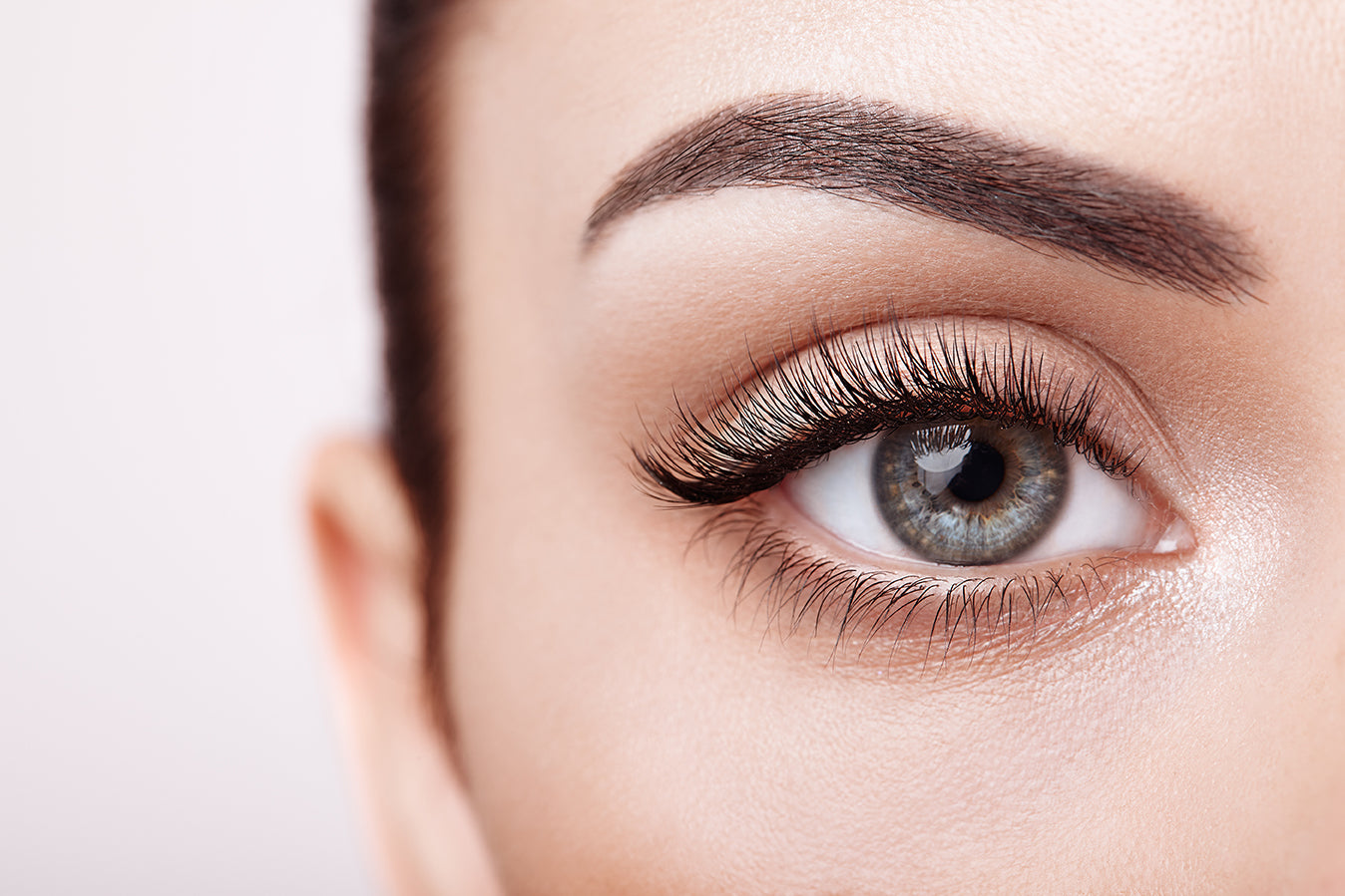 lash supplier