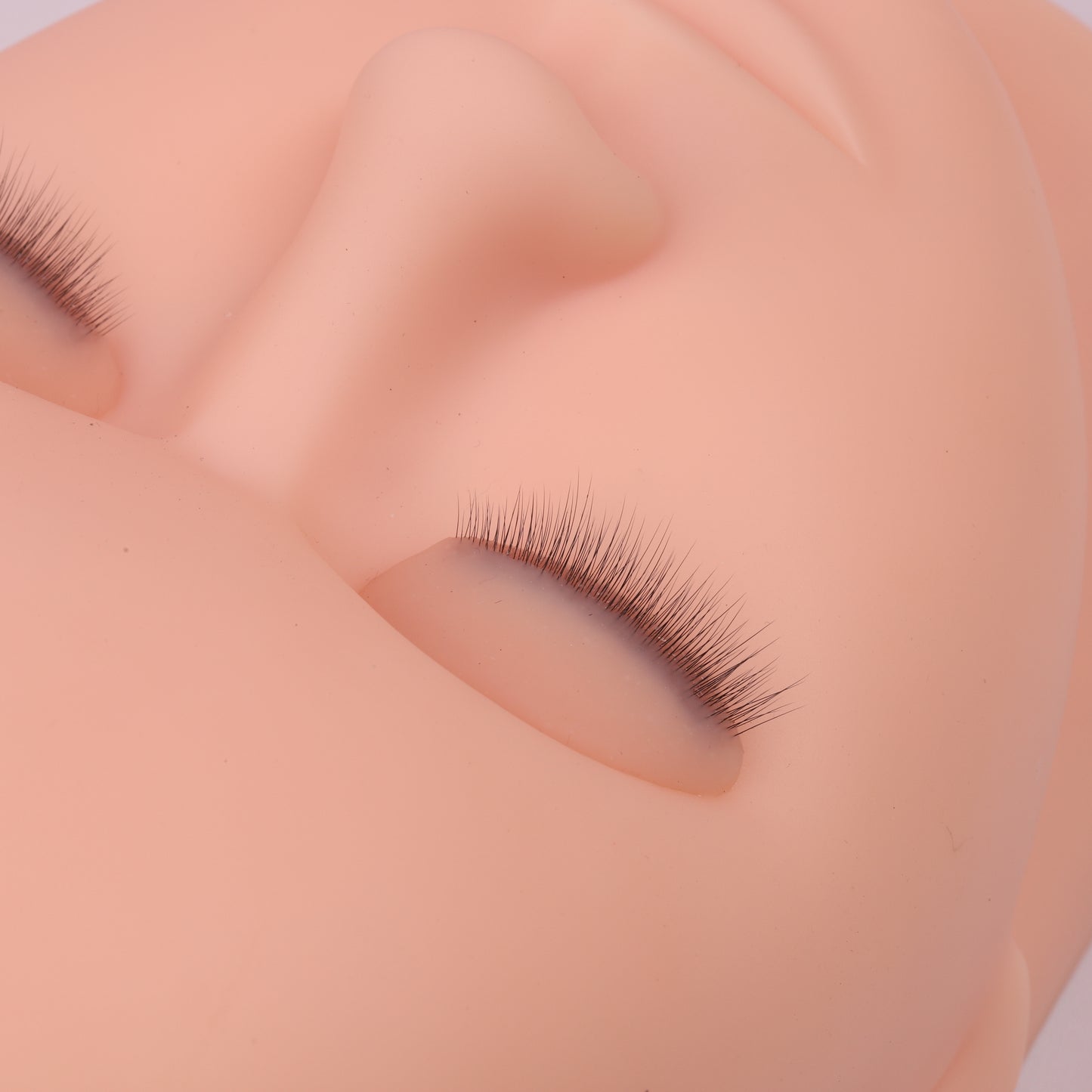 Premium Lash Mannequin Head