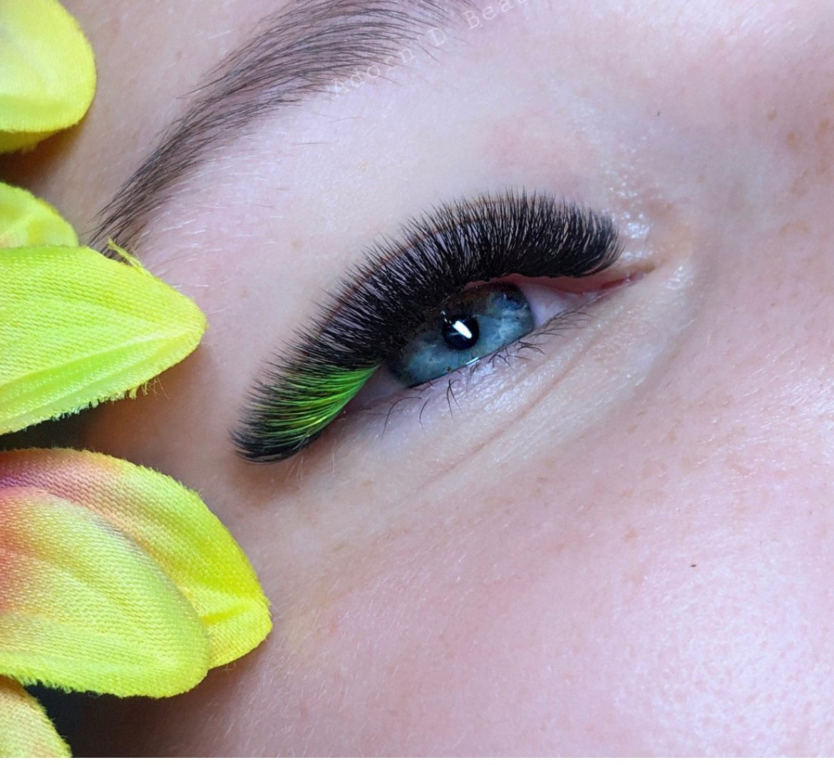 Promade Coloured Lashes Single Length | 6D 0.07 | 1000 fans