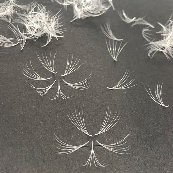 Promade Coloured Lashes Single Length | 6D 0.07 | 1000 fans