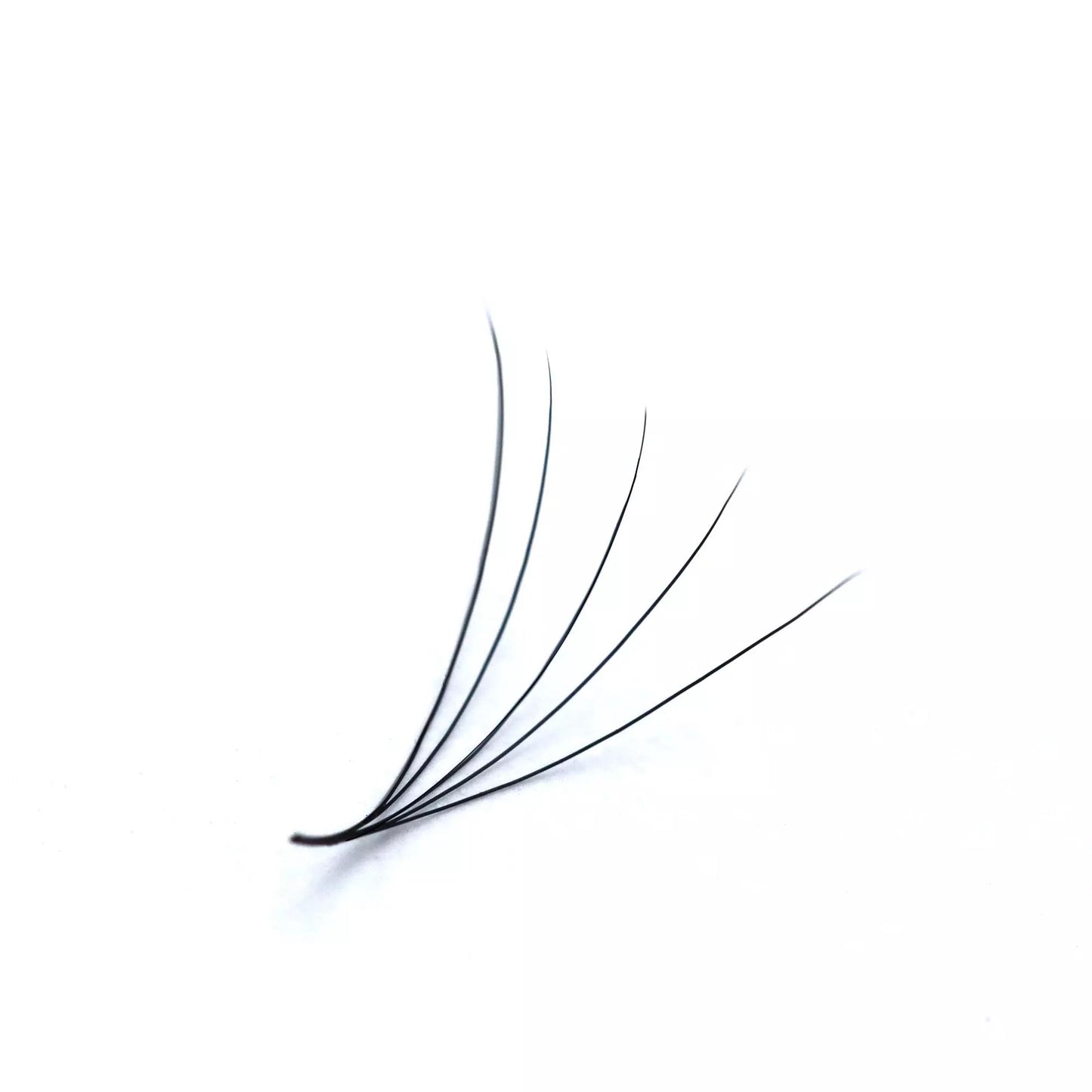 Mix 3in1 | Promade 5D Lashes | 1000 fans