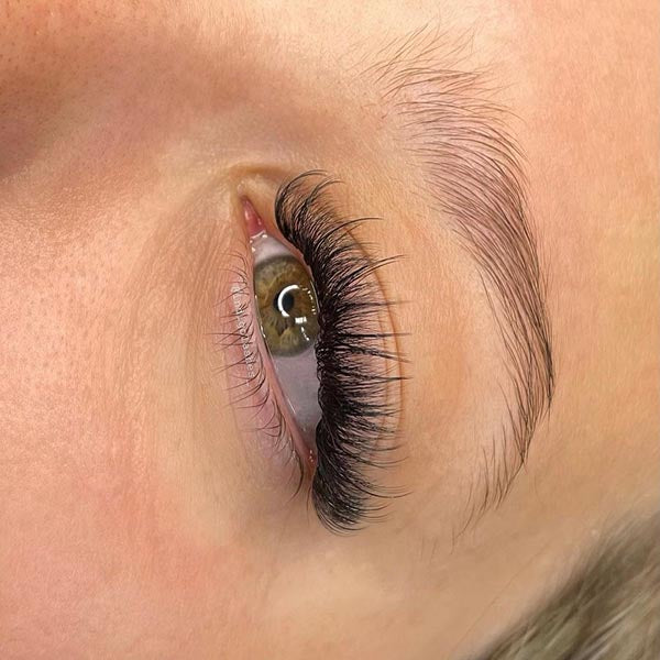 Ultra-Speedy | Wispy Promade | Single size | 5D/7D/9D | 1000 fans