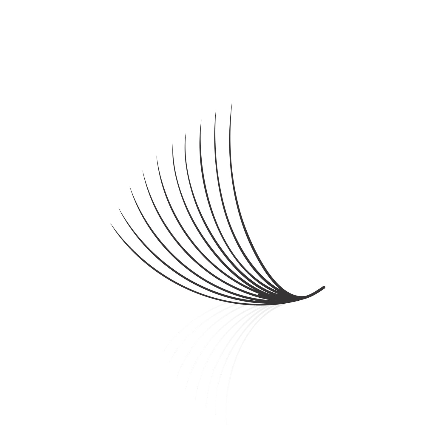 Loose Fan Promade 10D Lashes Extension | 0.05