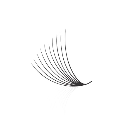 Loose Fan Promade 10D Lashes Extension | 0.05