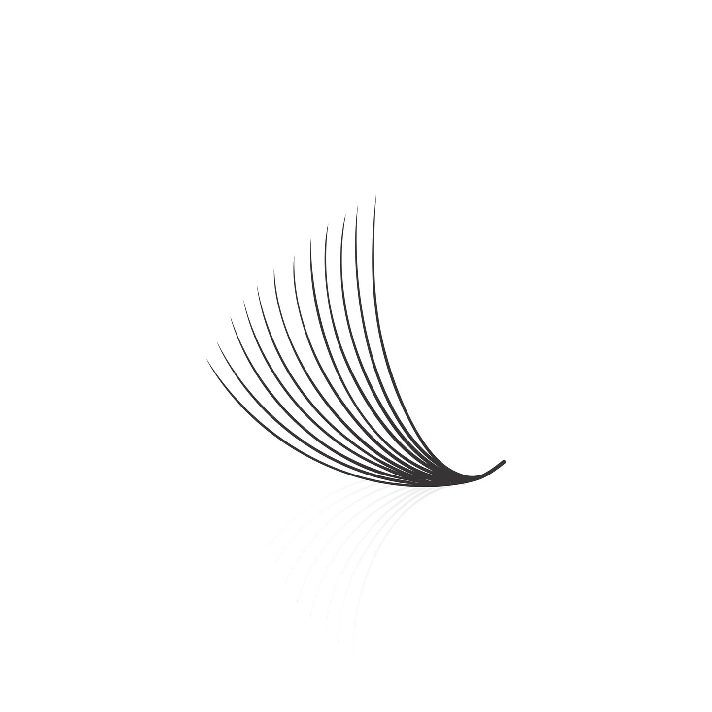 Loose Fan Promade 12D Lashes Extension | 0.03