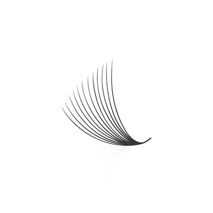 Loose Fan Promade 12D Lashes Extension | 0.03