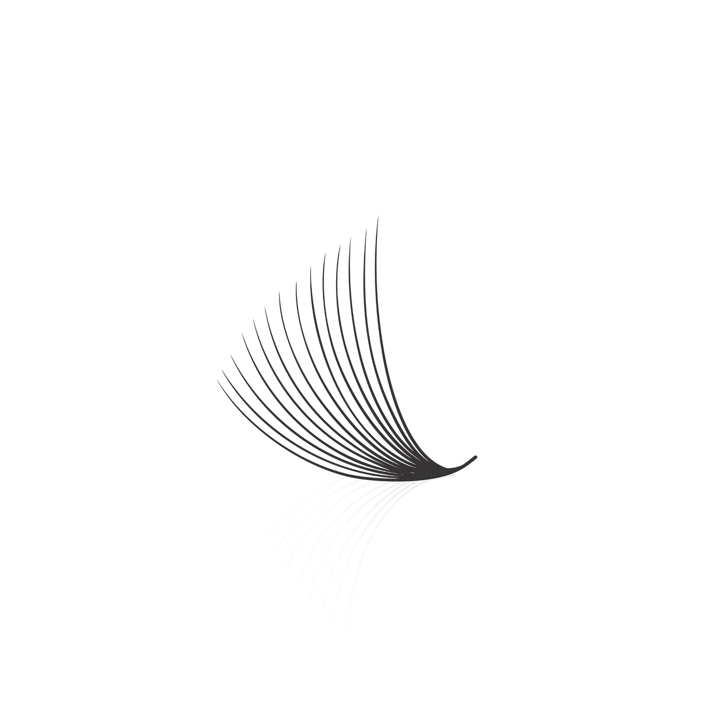 Loose Fan Promade 14D Lashes Extension | 0.03