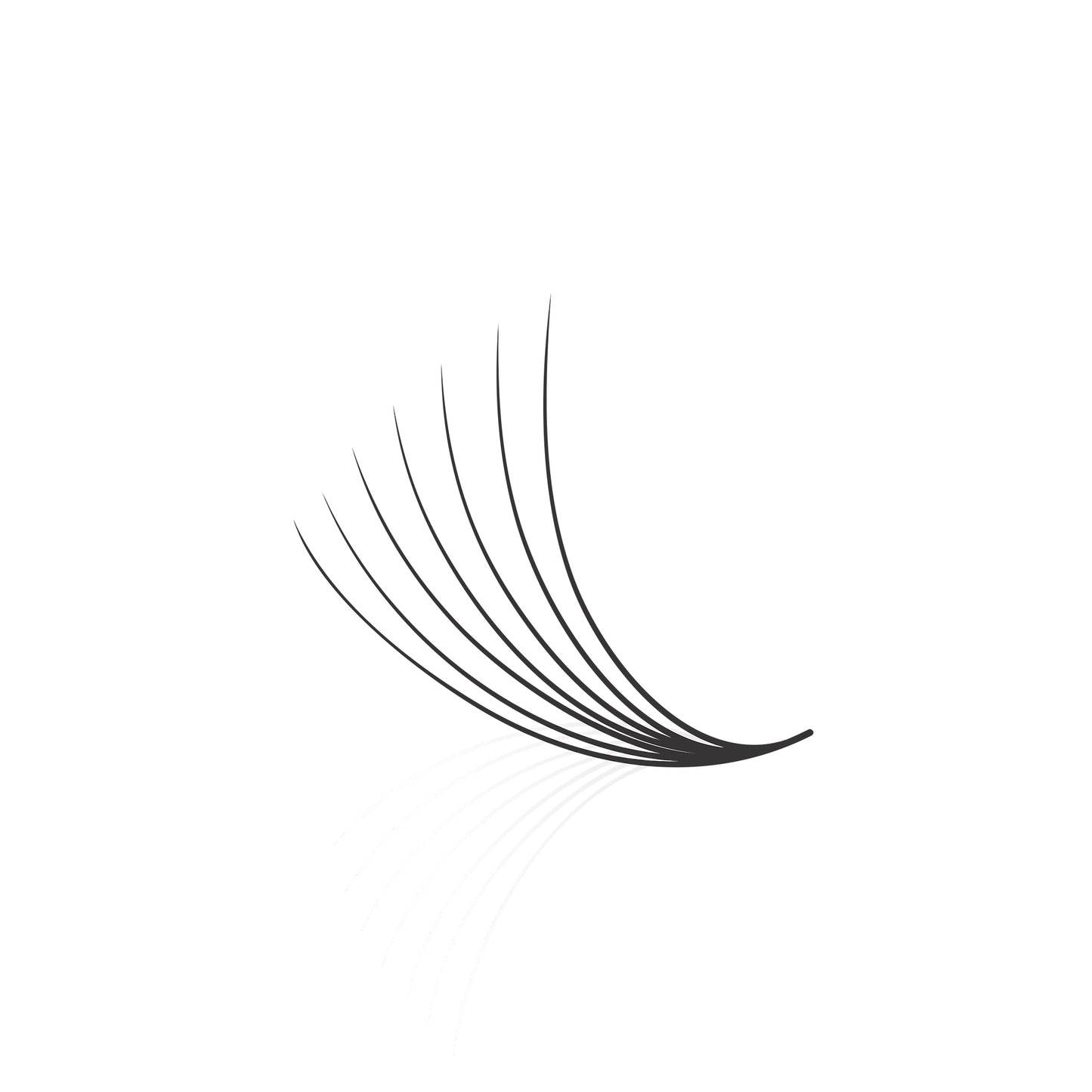 Loose Fan Promade 7D Lashes Extension | 1000 fans
