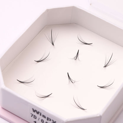 Wispy Promade | Loose Fans | Single Size | 5D/7D/9D | 500 fans