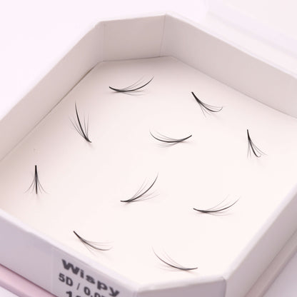 Wispy Promade | Loose Fans | Single Size | 5D/7D/9D | 500 fans