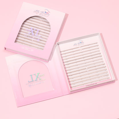 Promade XL Tray Book | 6D Lashes