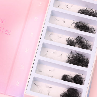 Mix 6in1 | Promade Lashes 6D | 1.500 Fans