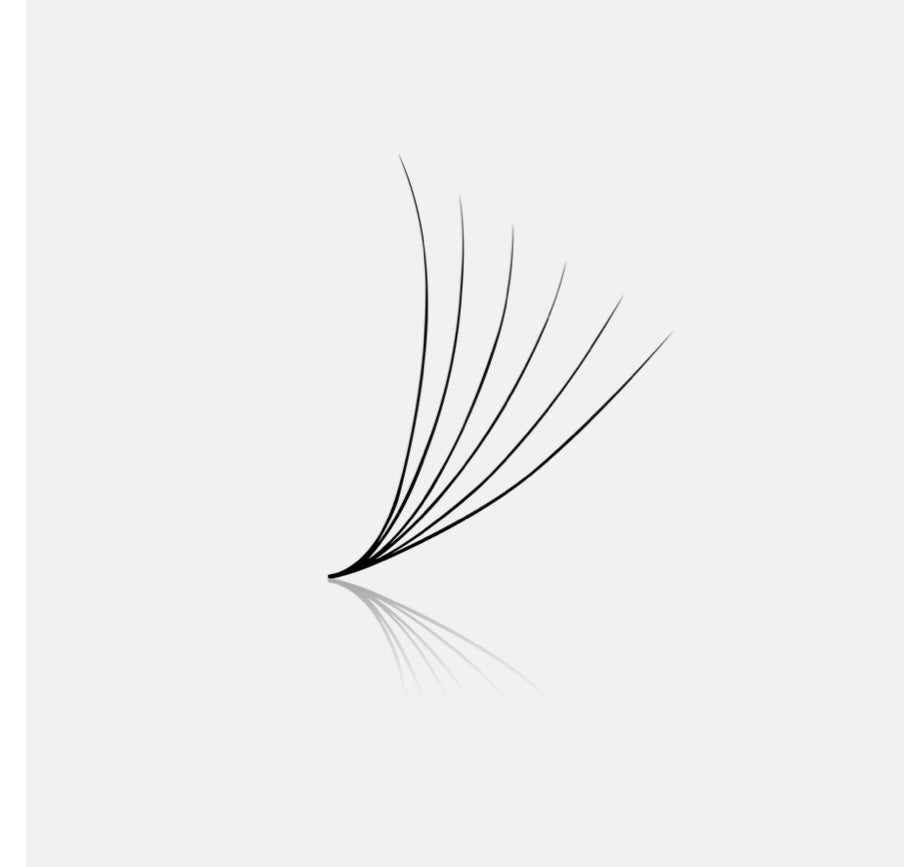 Loose Fan Promade 6D Lashes Extension | 1000 fans