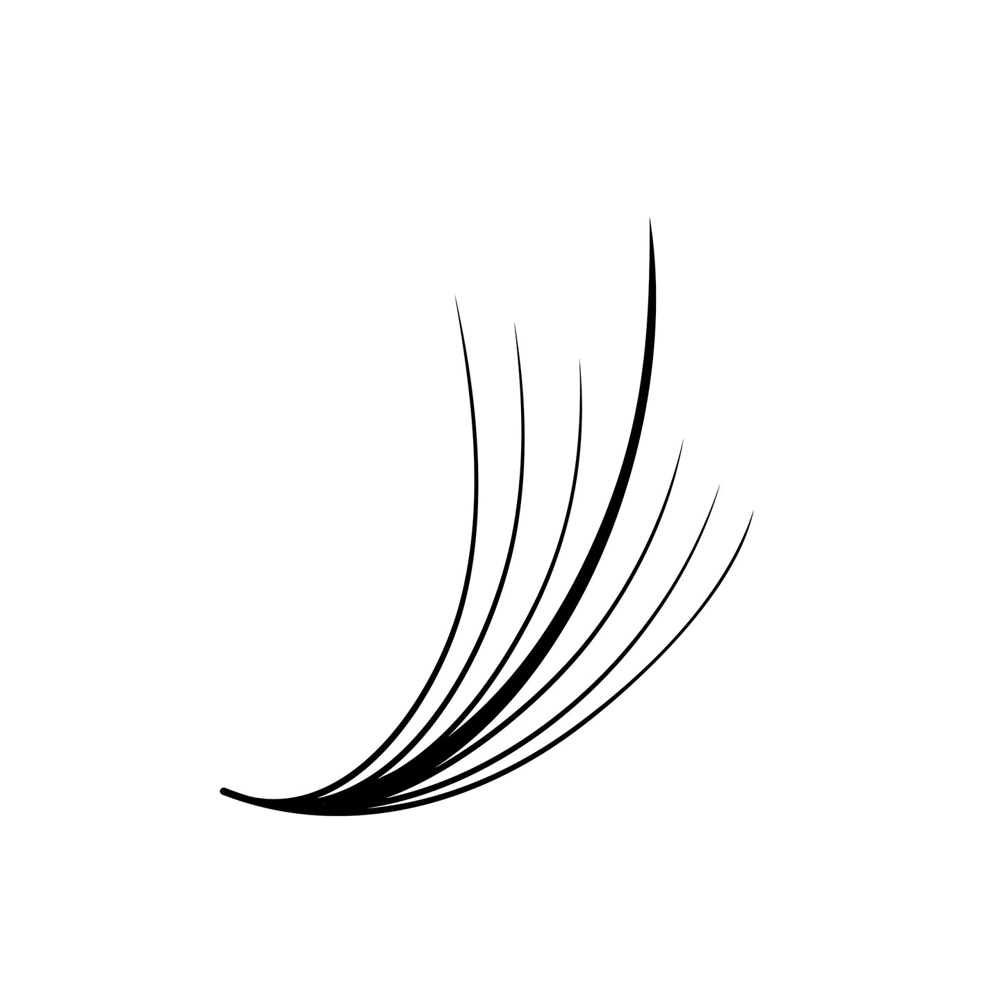 Wispy Loose Promade | Mix 6in1 | 9mm - 14mm | 5D/7D/9D | 1000 fans