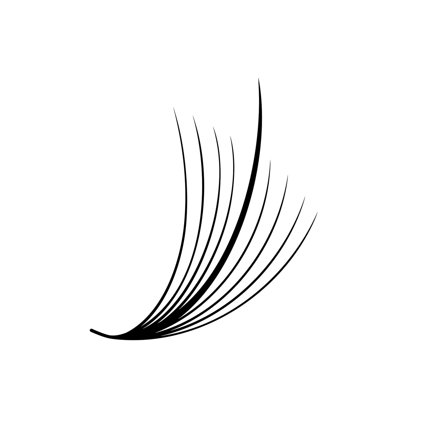 Wispy Loose Promade | Mix 6in1 | 9mm - 14mm | 5D/7D/9D | 1000 fans