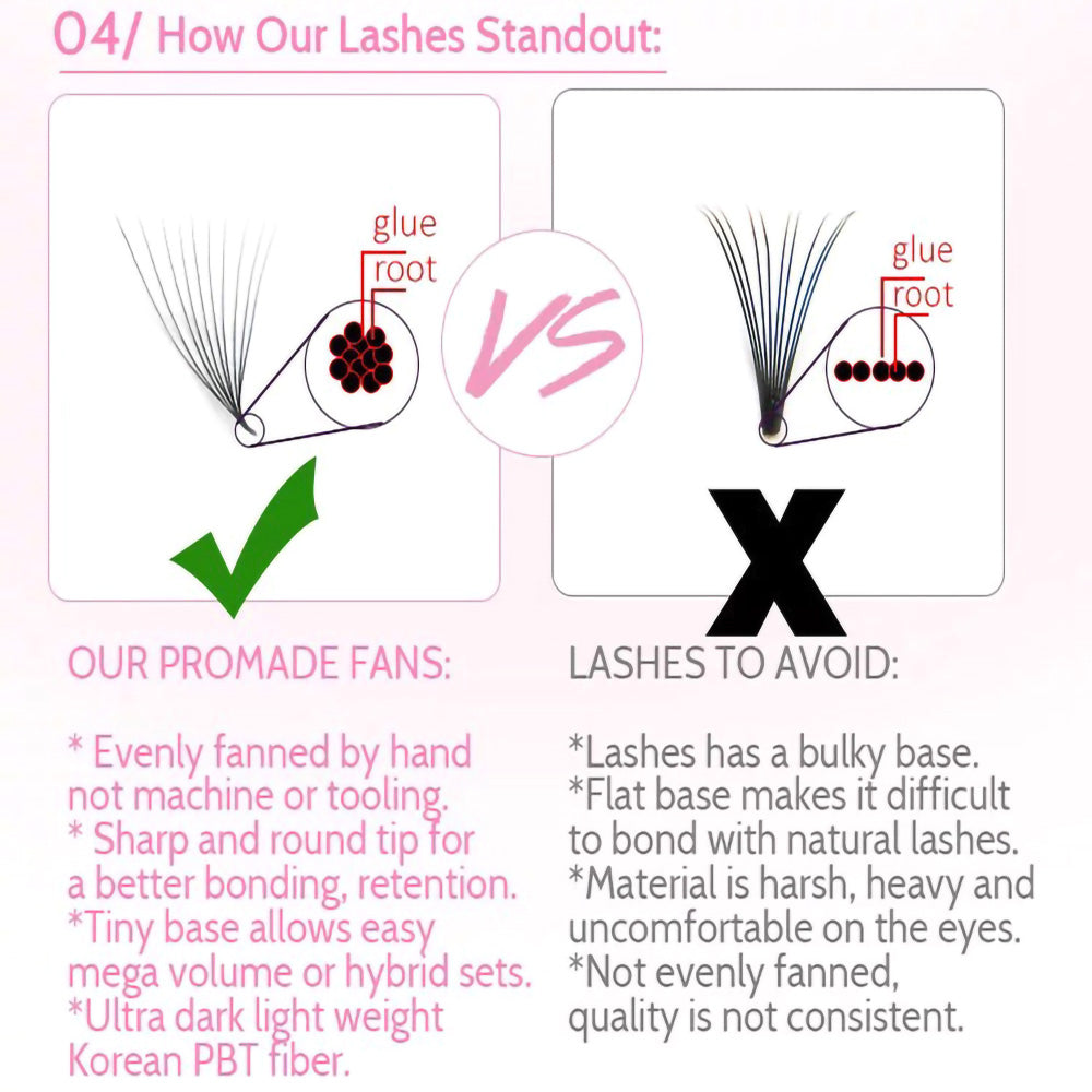 6D Lashes