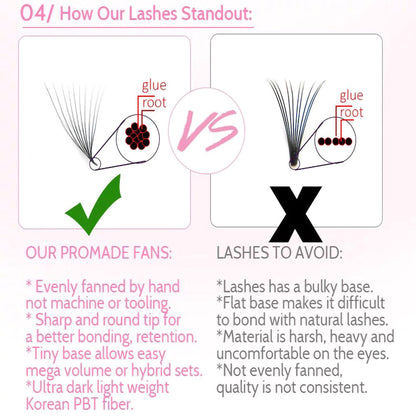 6D Lashes