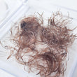 Load image into Gallery viewer, Promade Coloured Lashes Single length | 6D 0.07 | 500 fans
