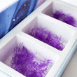 Load image into Gallery viewer, Promade Coloured Mix 3in1 | 6D 0.07 | 1000 Fans
