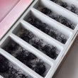 Load image into Gallery viewer, Mix 6in1 | Promade Lashes 6D | 1.500 Fans

