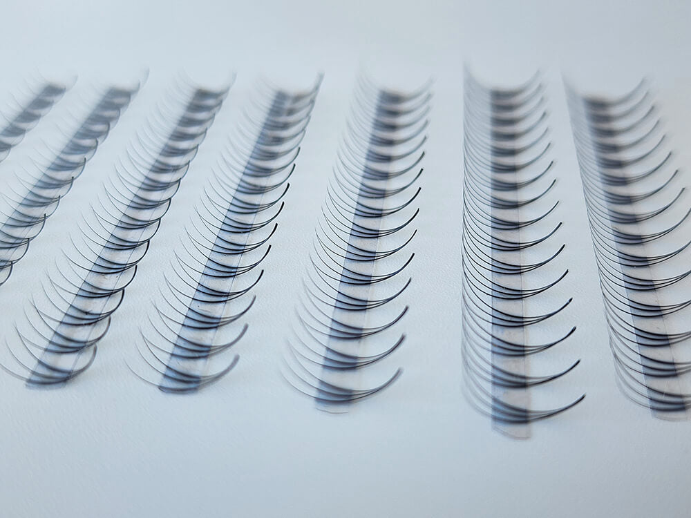 Single 3D Ultra-Speedy | Promade Lashes | 1000 fans