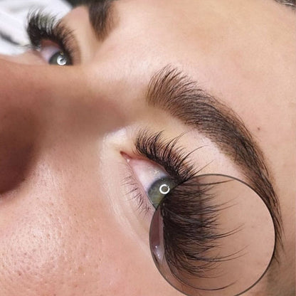 Ultra-Speedy | Wispy Promade | Mix 9-14mm | 5D/7D/9D | 1000 fans