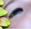 Load image into Gallery viewer, Promade Coloured Lashes Single Length | 6D 0.07 | 1000 fans
