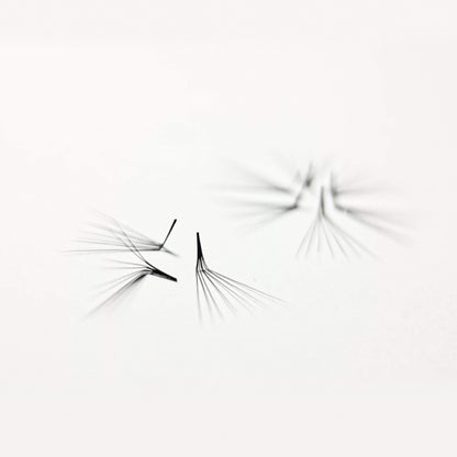 L Curl Lashes
