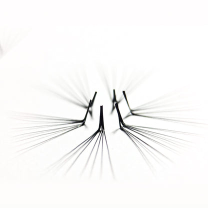 L Curl Lashes