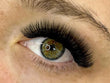 Load image into Gallery viewer, Single 10D Ultra-Speedy | Promade Lashes | 1000 fans
