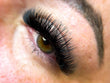 Load image into Gallery viewer, Single 14D Ultra-Speedy | Promade Lashes | 1000 fans
