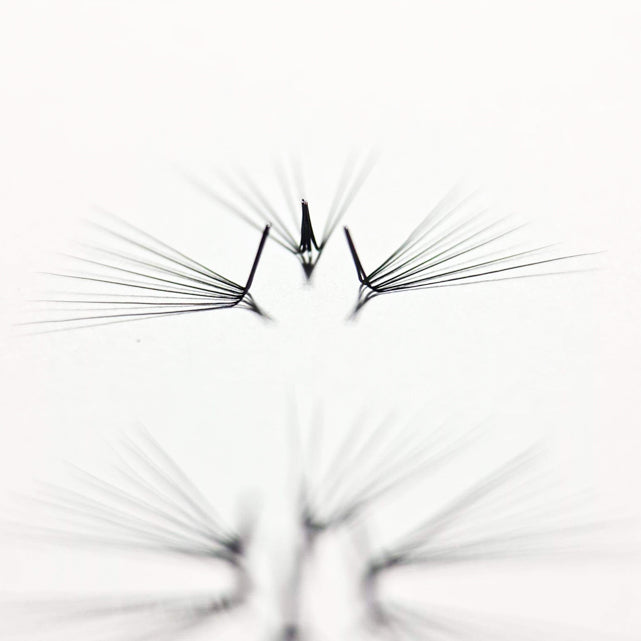 L Curl Lashes