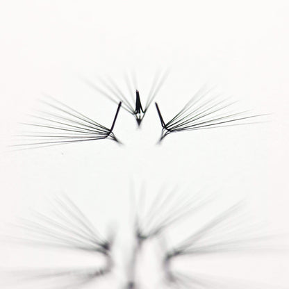 L Curl Lashes