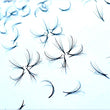 Load image into Gallery viewer, Wispy Promade | Loose Fans | Single Size | 5D/7D/9D | 500 fans
