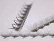 Load image into Gallery viewer, Mix 16D Ultra-Speed | Pro-made Lashes | 1000 fans
