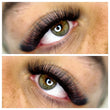 Load image into Gallery viewer, Handmade 10D Lashes | Thickness 0.05 | 500 Fans
