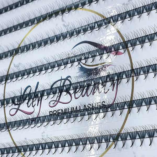 Promade XL Tray Book | 6D Lashes