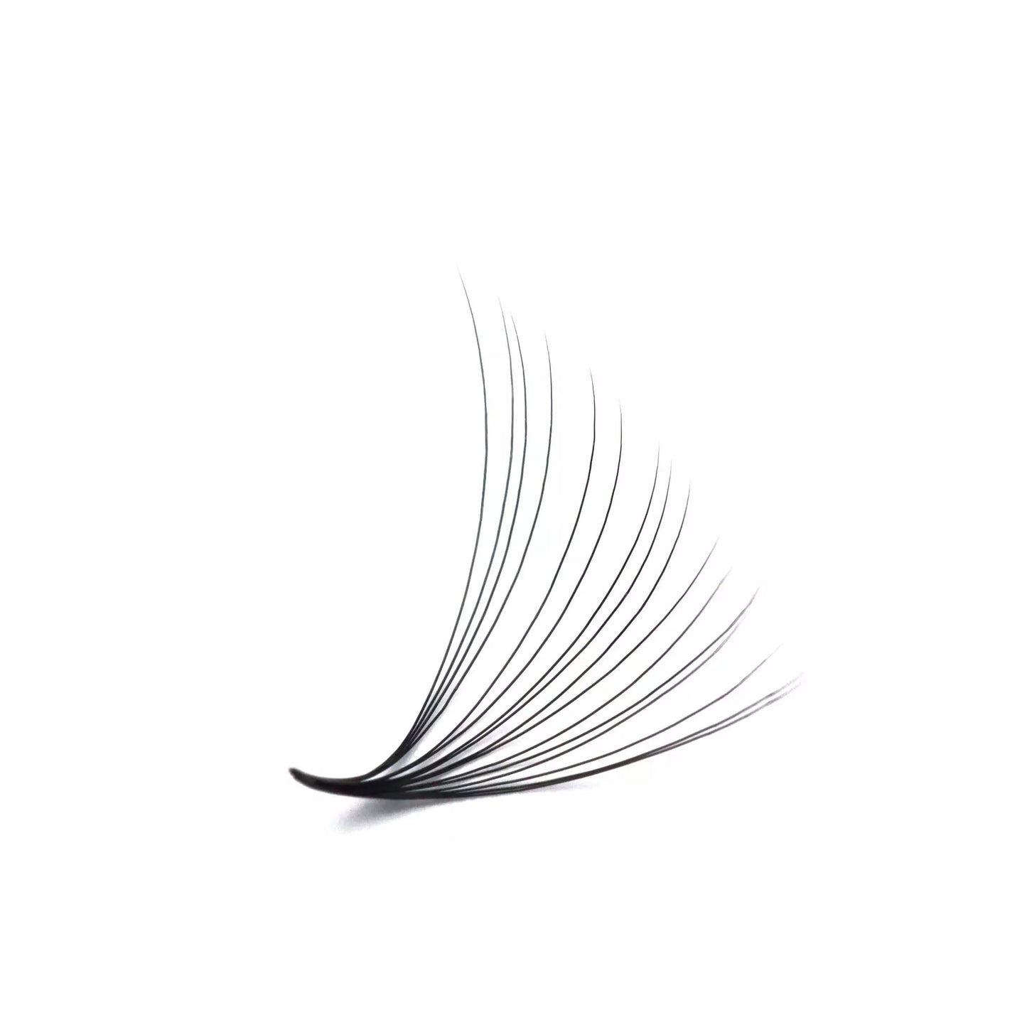 Mix 3in1 Promade | Bundle set 14D Lashes | 3000 fans